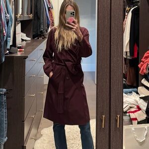 Everlane Italian Wool Modern Trench